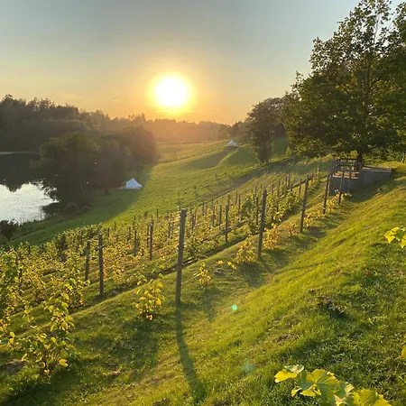 Korter Murimaee Winery Guest *